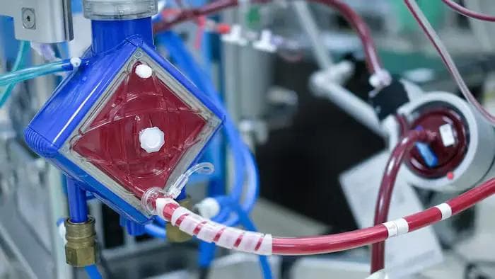 Eleusô Secures $2.5M To Advance Smart ECMO Platform Toward FDA Approval